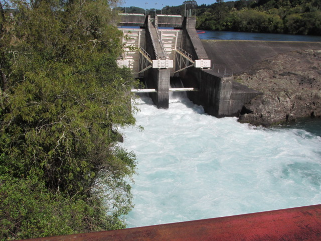 The dam at the Arataitai rapids opening