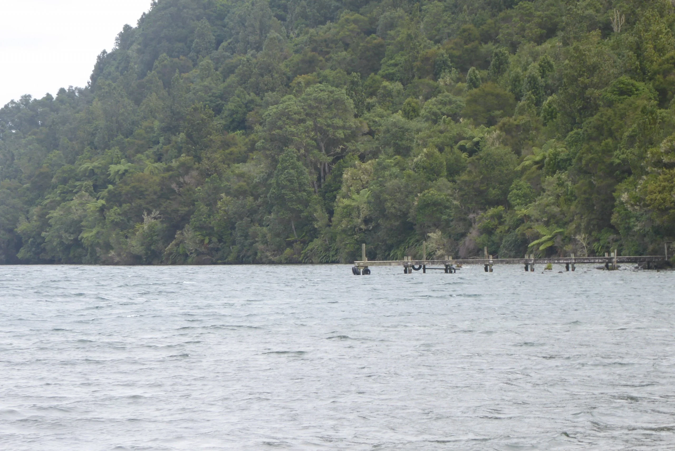 The Jetty of Hope---Lake Okataina