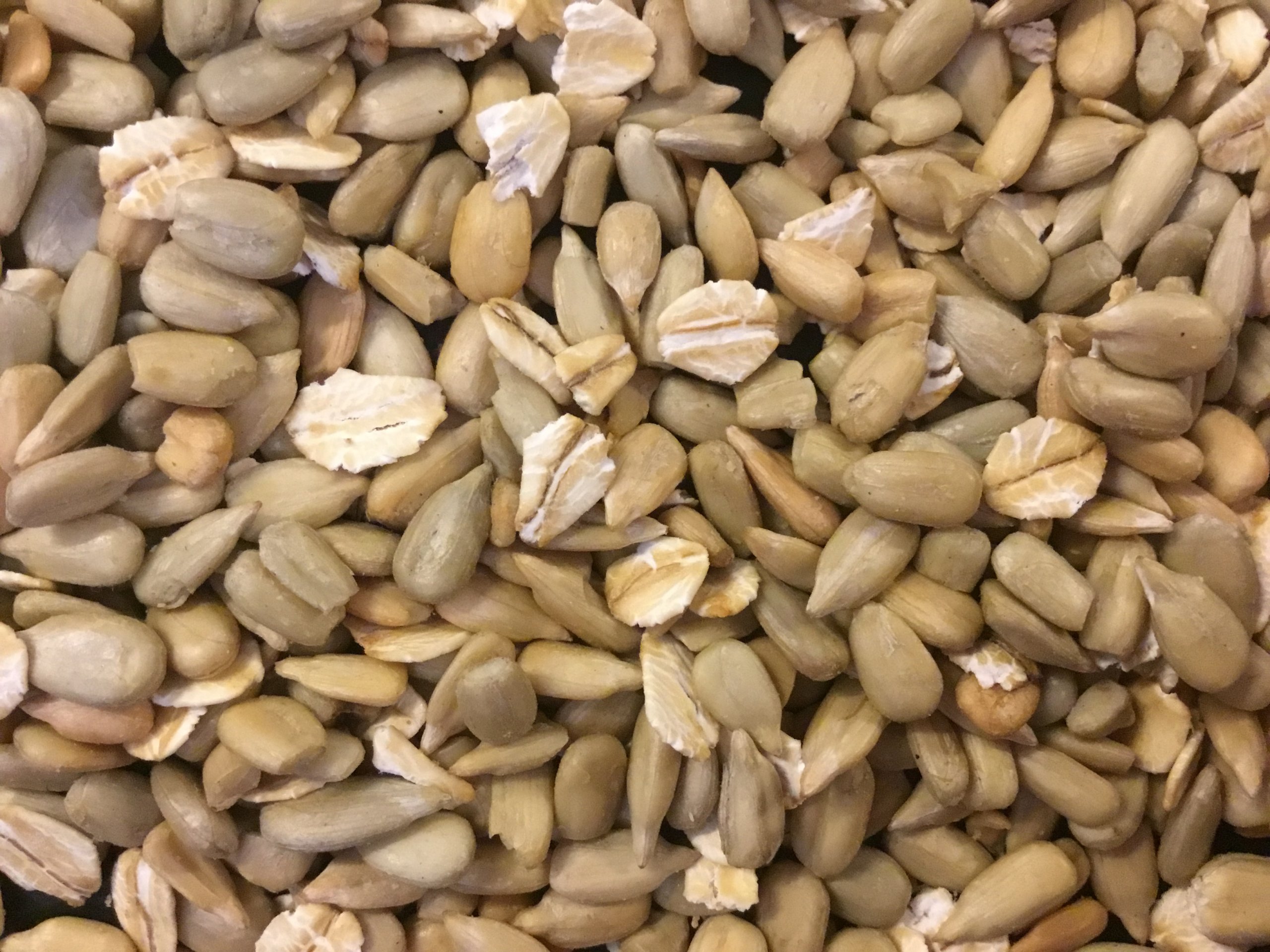 Toasted sunflower seeds and oats