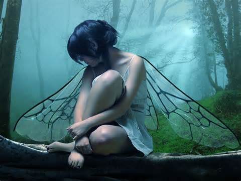 Tranquil fairy