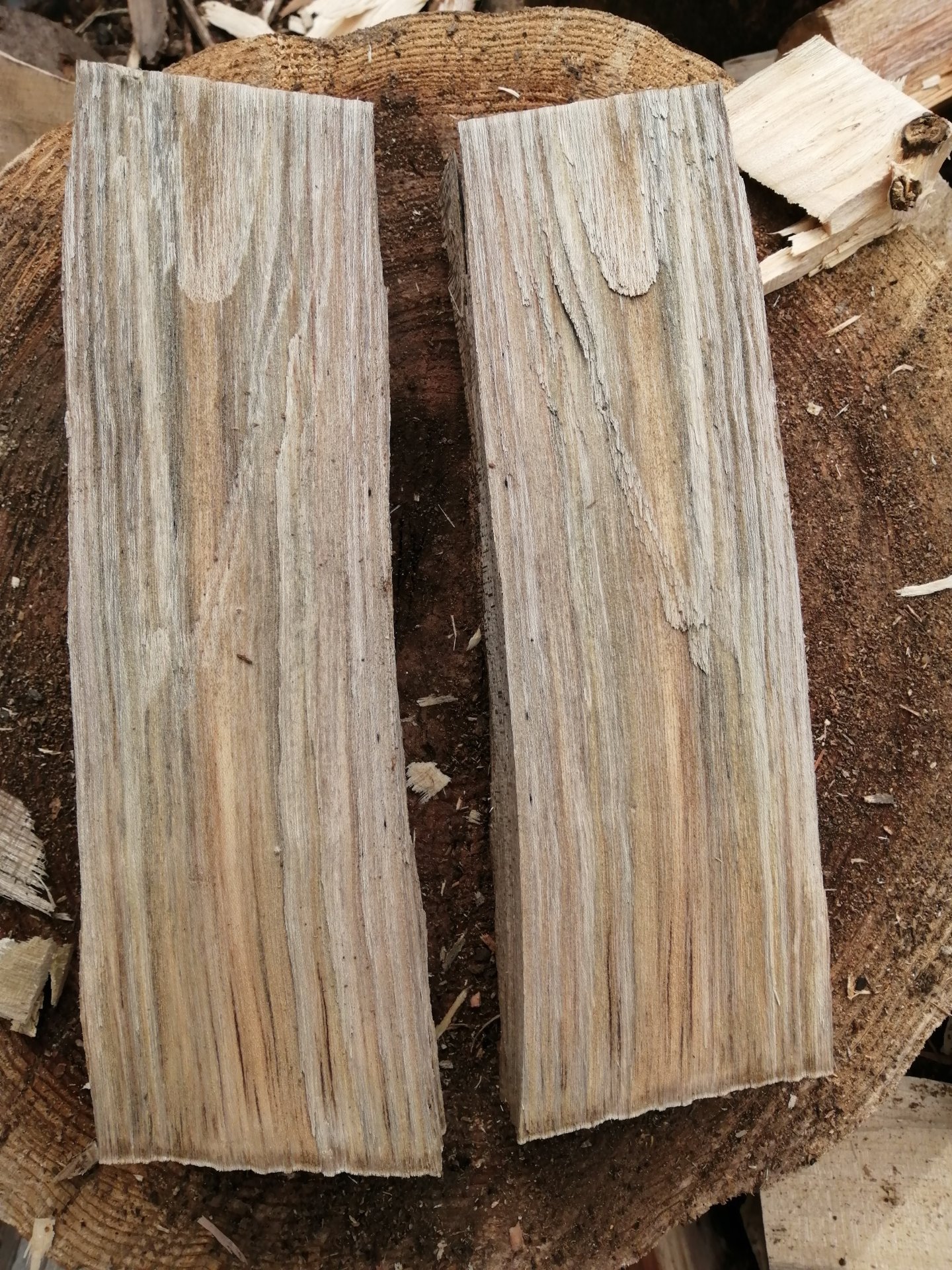 Two future cribbage boards.