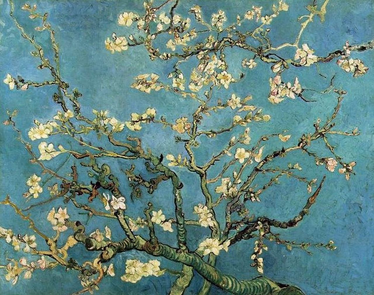 Van Gogh "Almond Branches"