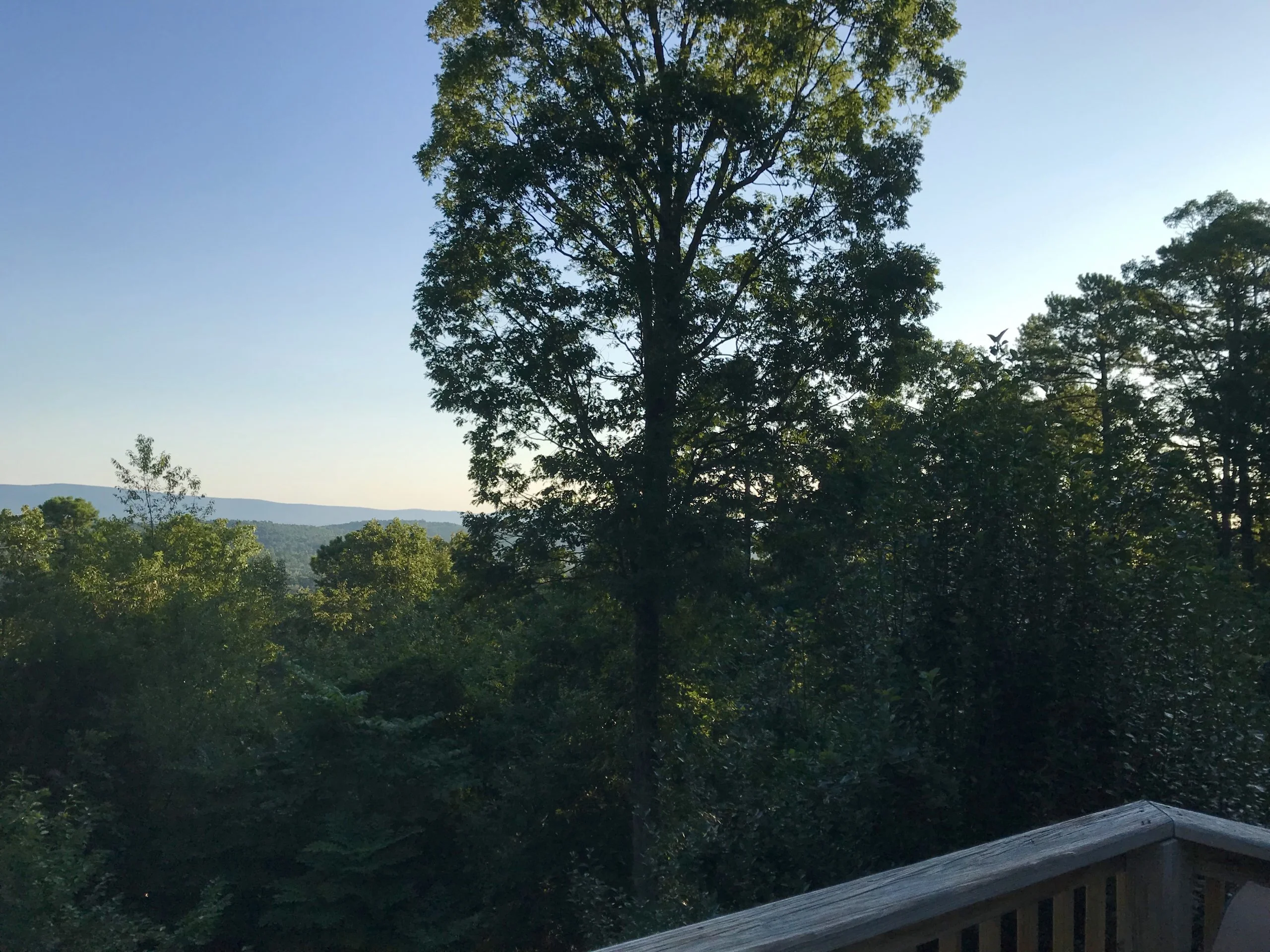 View this morning, from the balcony