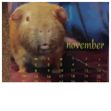 WalterPCalendar