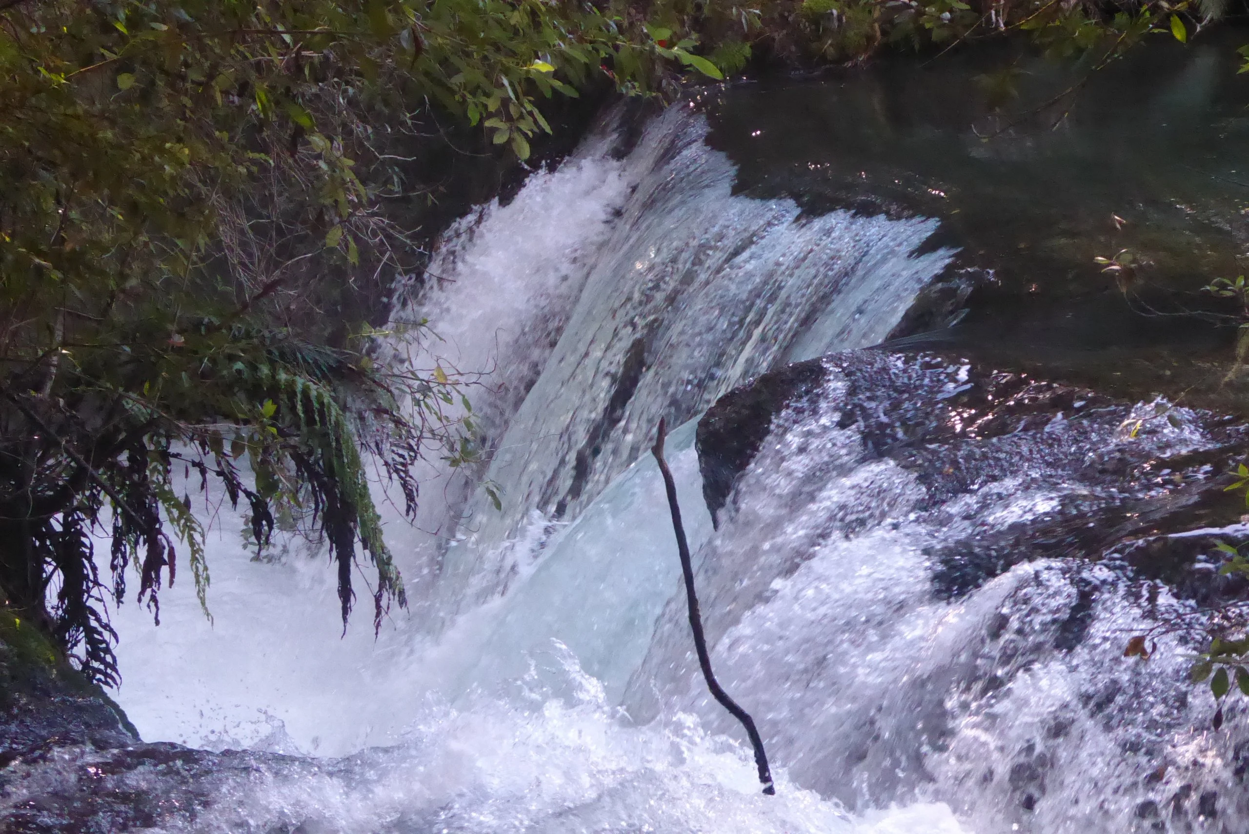 Water Fall---Lake Okataina