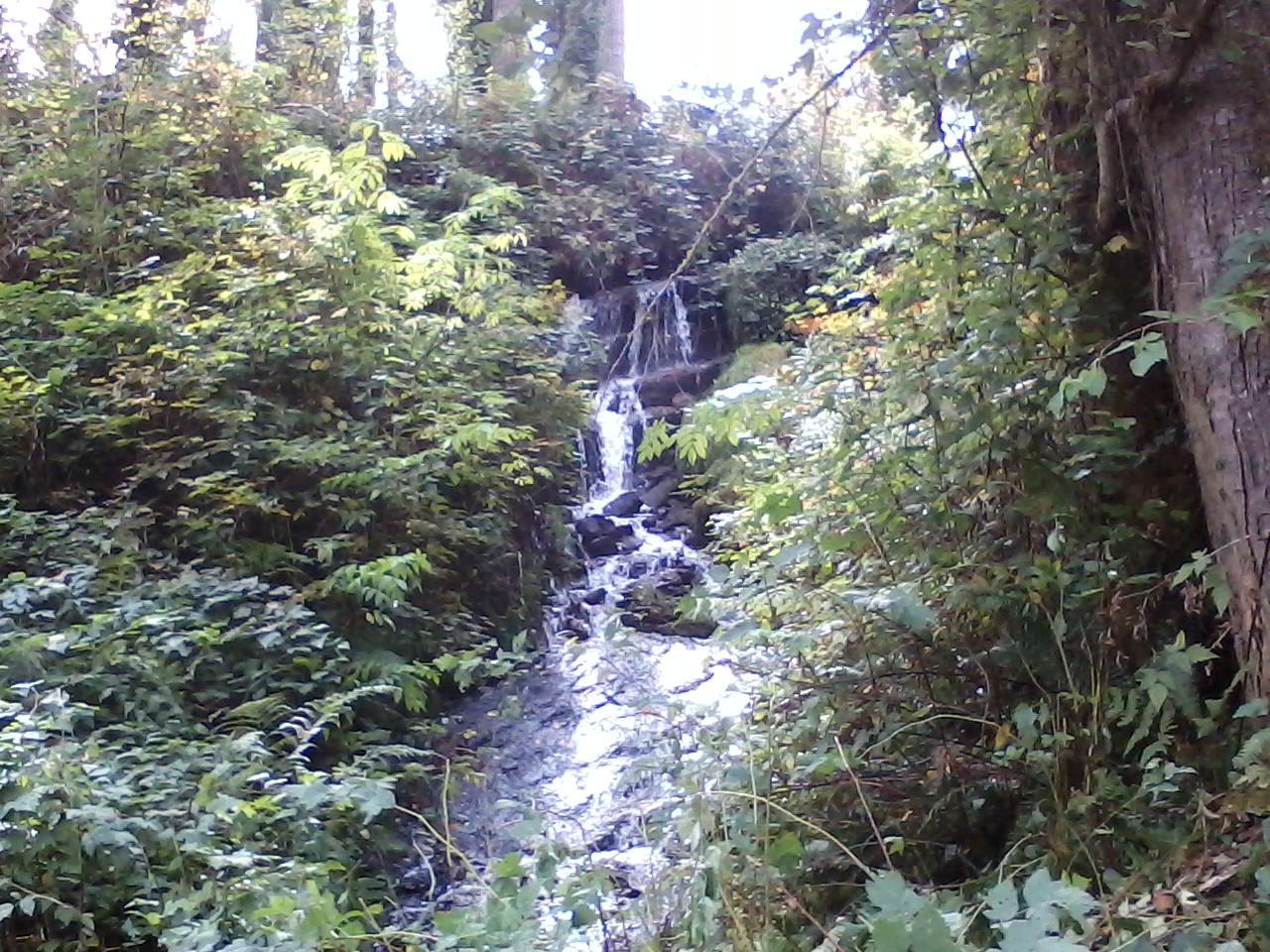 waterfall on way to wilkenson wa