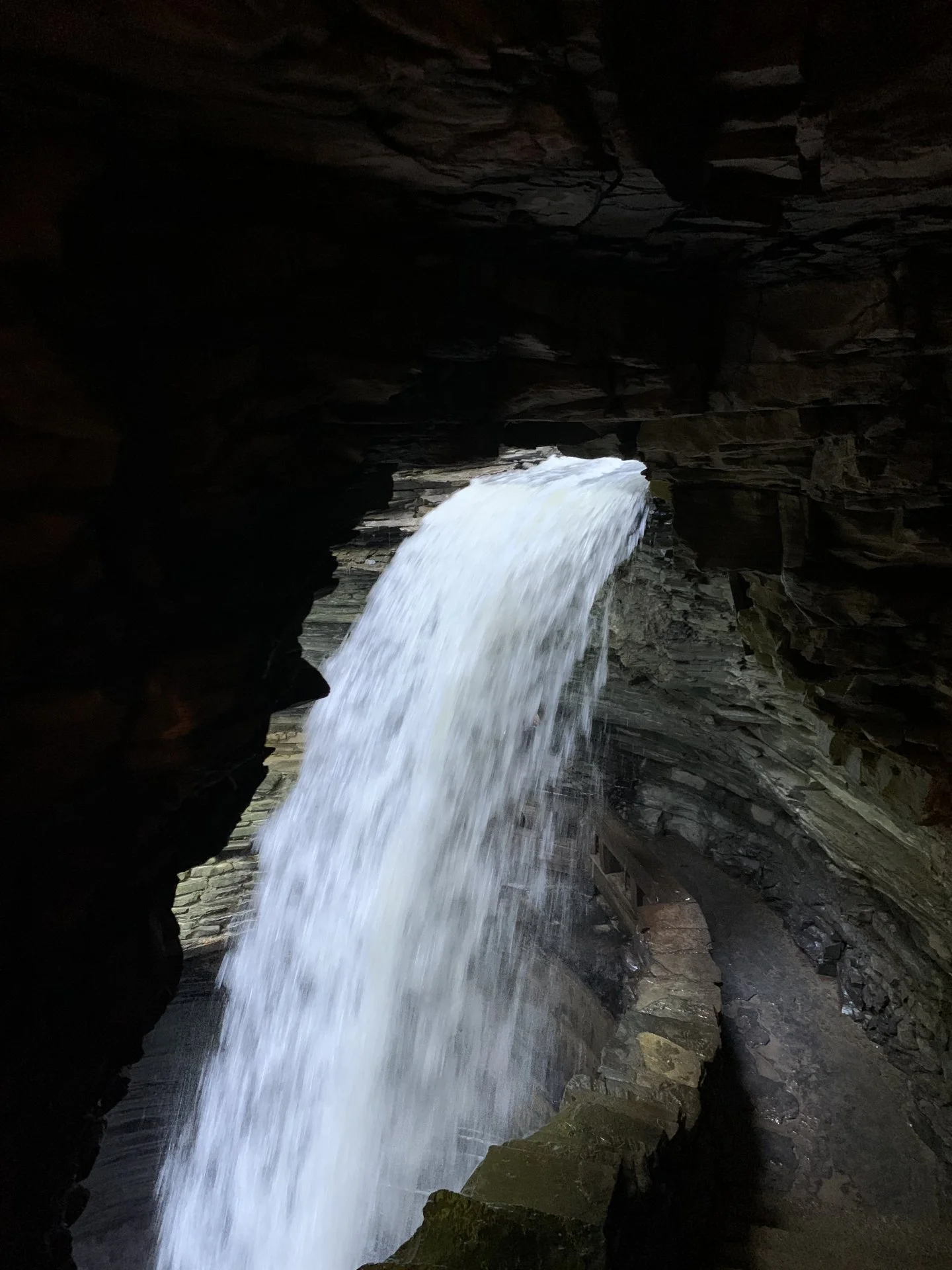 Watkins Glen - The highlight feature