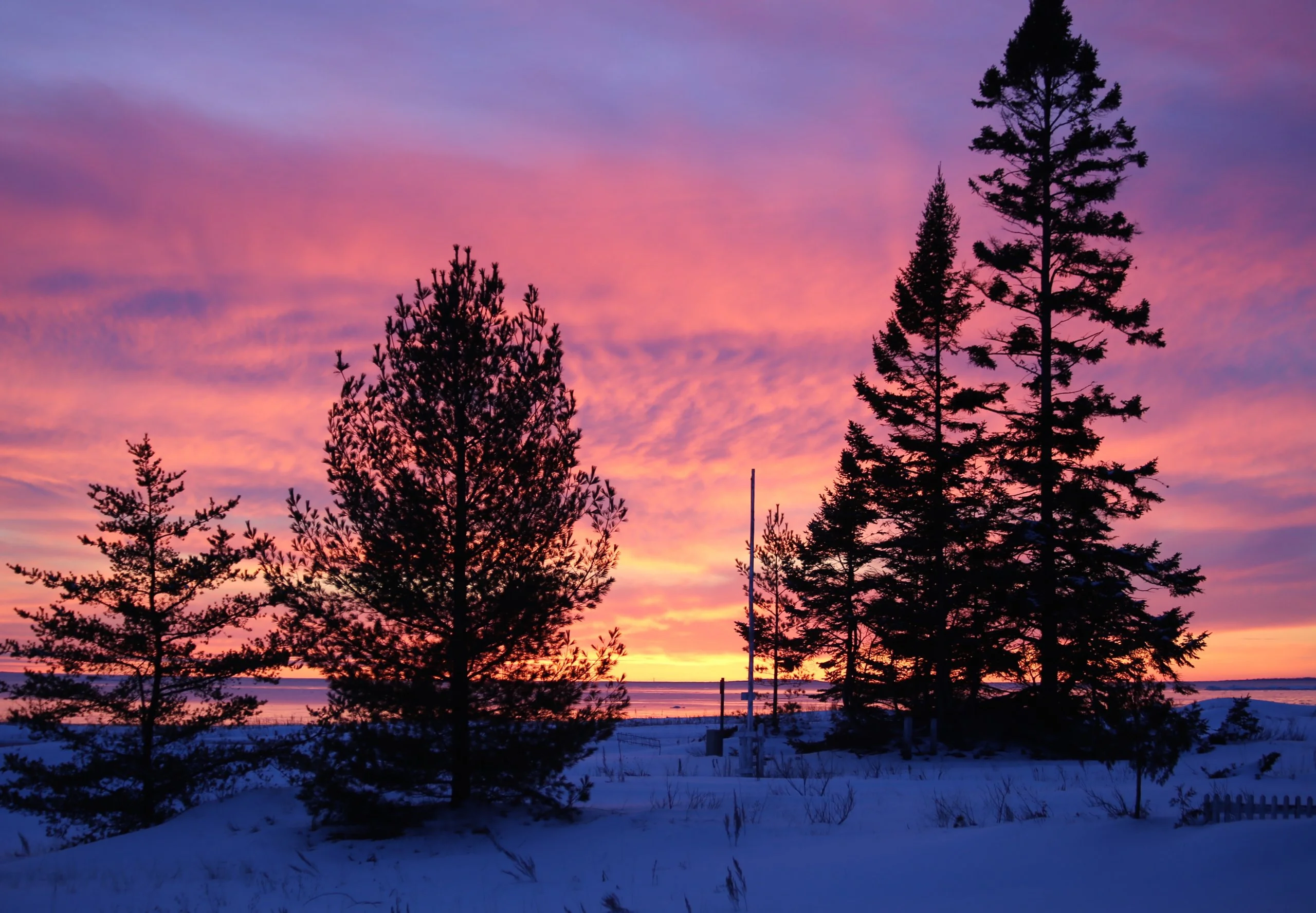 Winter Night