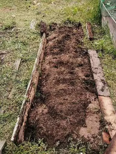 Working up the eggplant row.