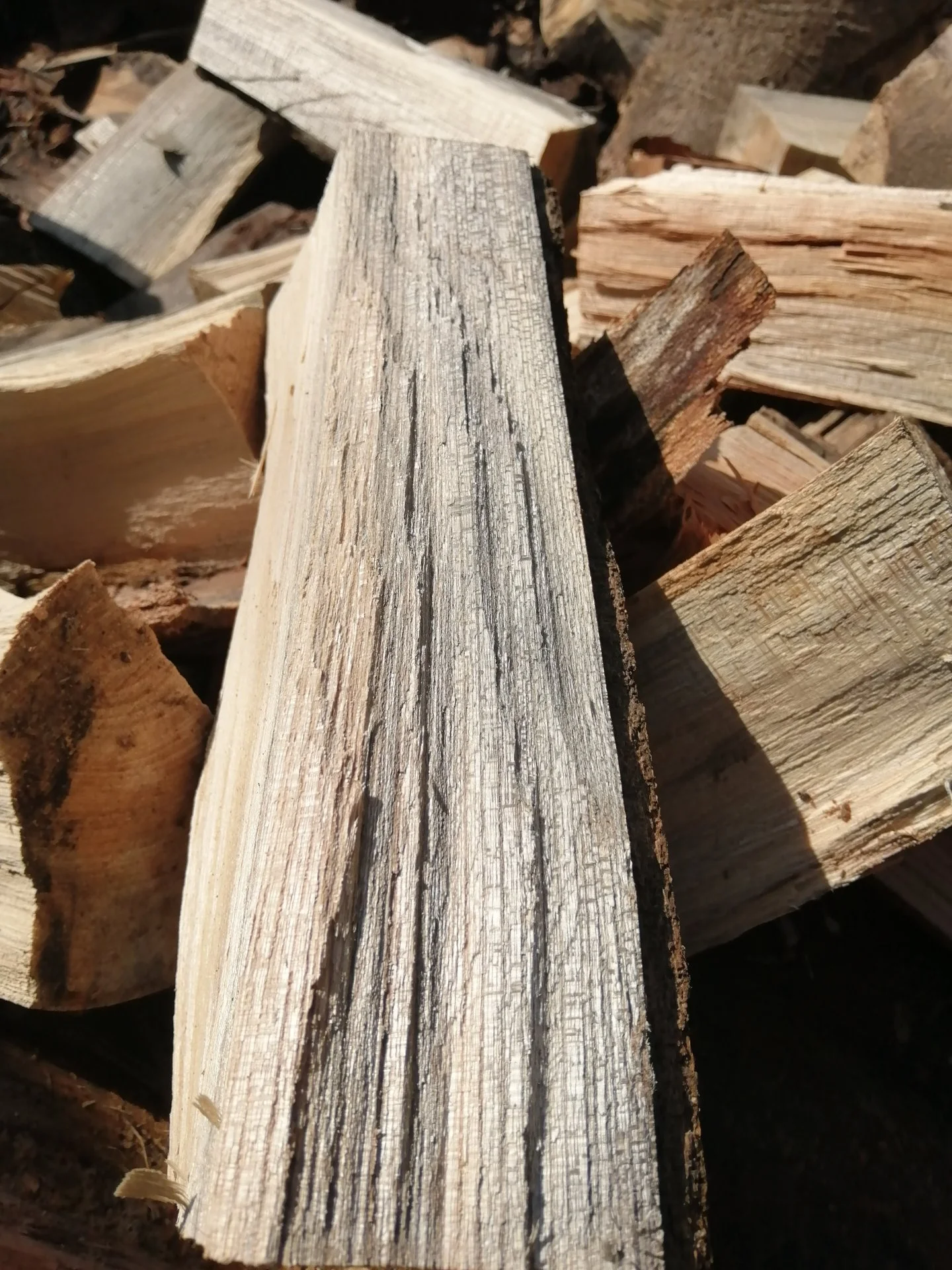 Zelkova wood grain