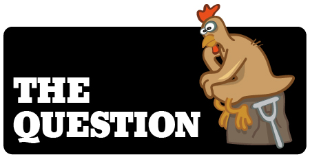 question-chicken-l.jpg