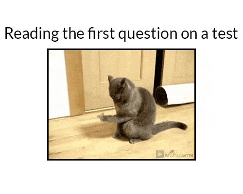 59b9b2359a3757a3bd6318339adad2d6.gif