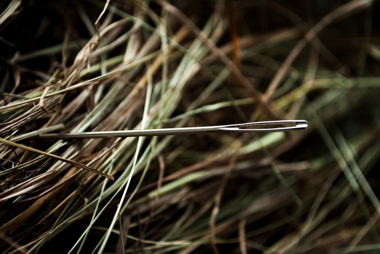 72b9fe41-needle-1419606_1280.jpg