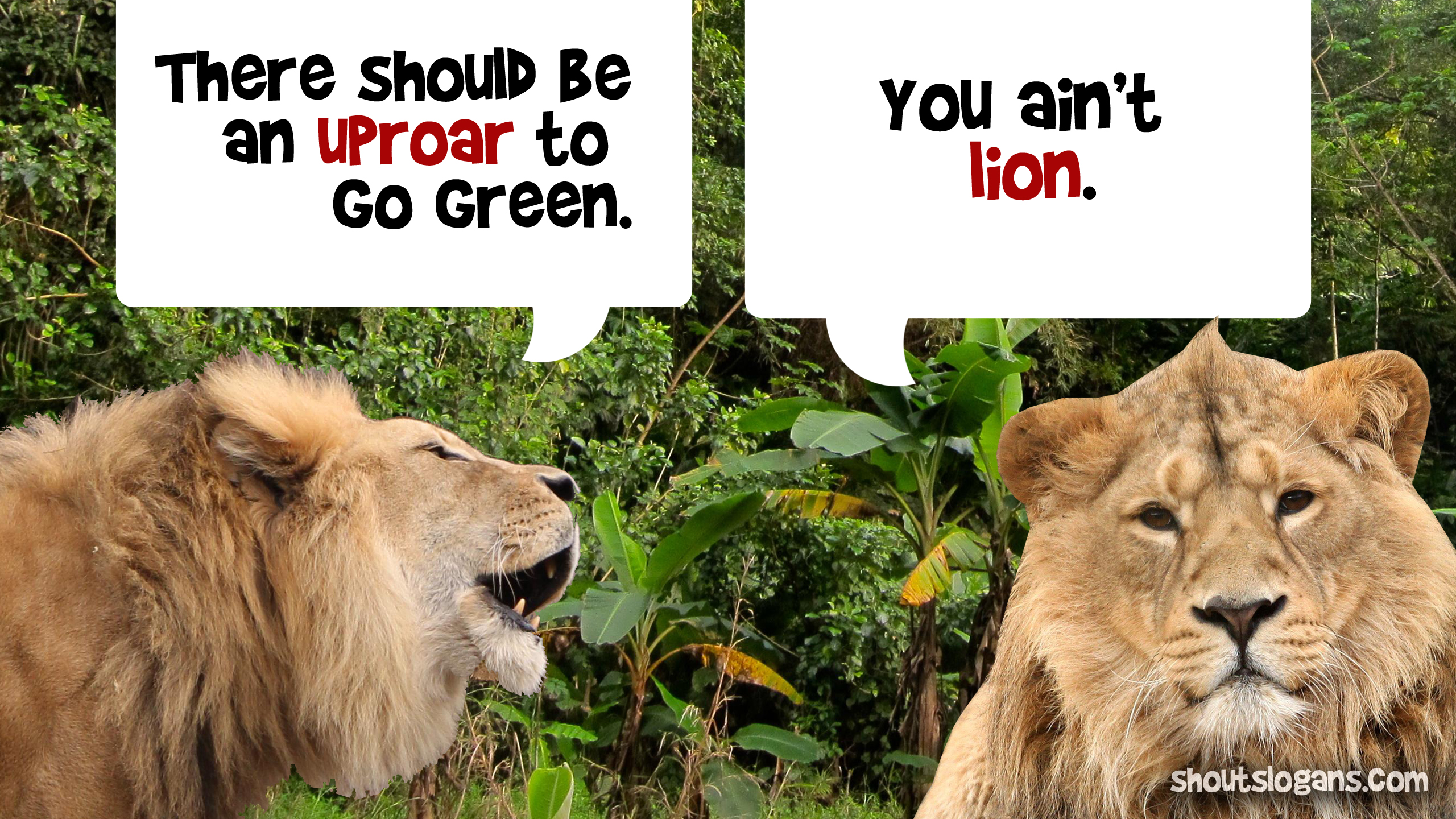 cute-animal-memes.jpg