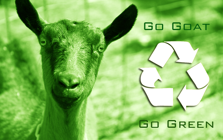 gogoatgogreen1.jpg