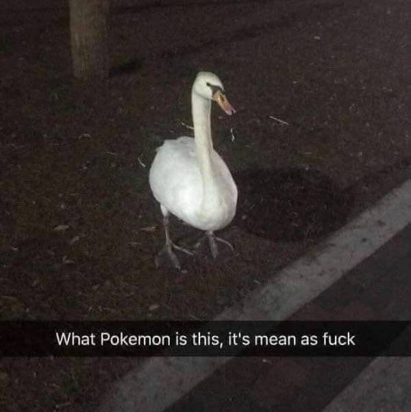 mean-pokemon.jpg