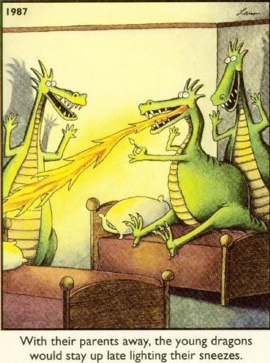 21ff99cc740aaaf92e3dddbe52bf3185--fire-dragon-gary-larson.jpg