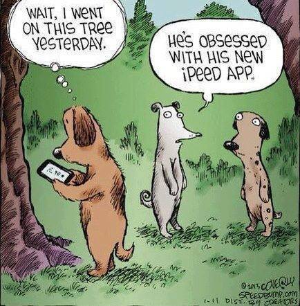 funny-dog-ipeed-app-dog.jpg