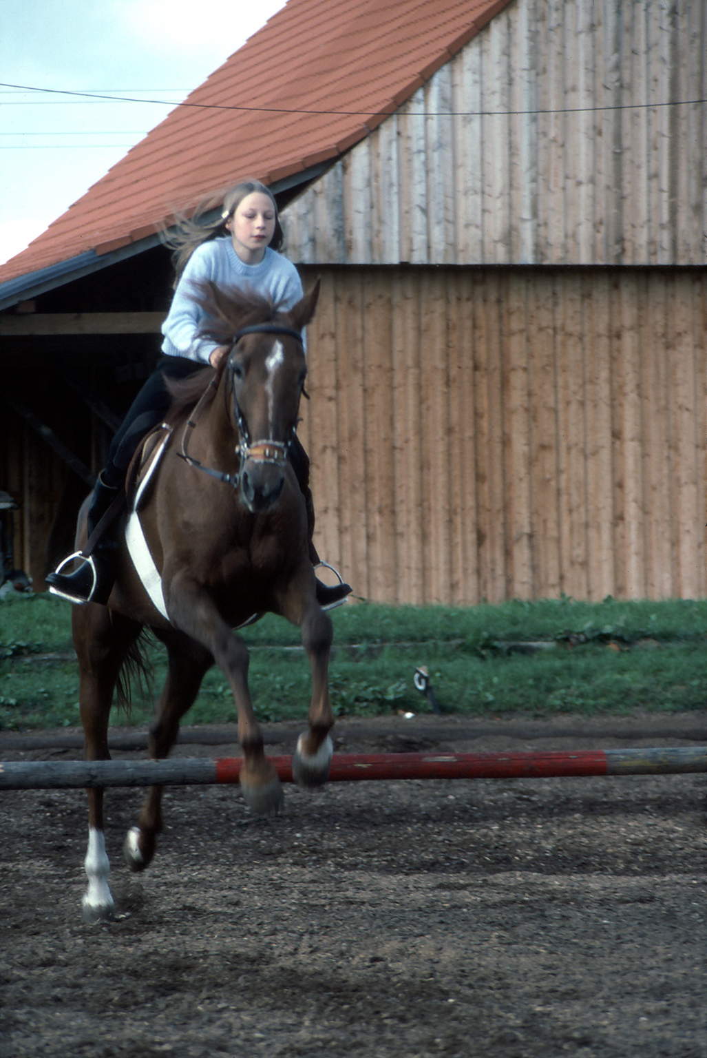 SET01_Sue_jumping_Dame_du_Buisson.jpg