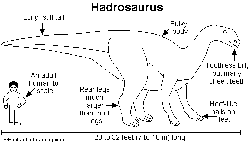Hadrosaurus_bw.GIF