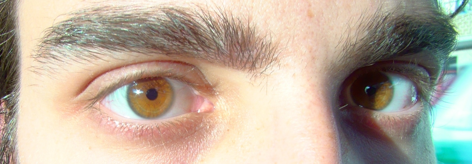 EyesAmber1.JPG