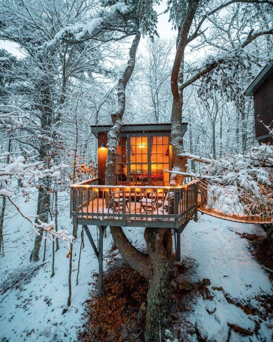 tree-house-kylefinndempsey.jpg