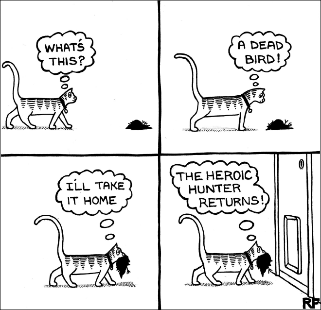 funny-cats4.png