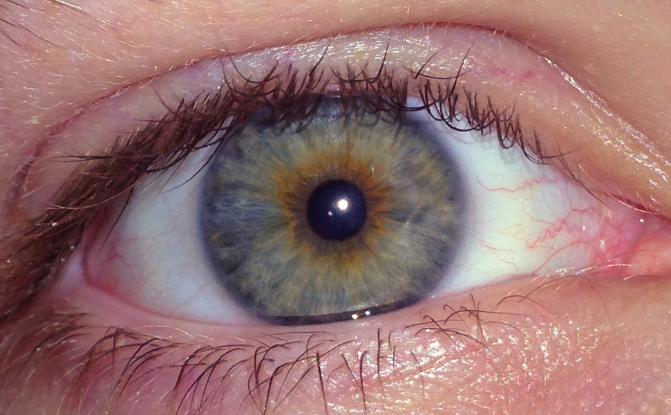 Hazel_Eyes%2C_Caucasian_Male%2C_Age_23.jpg