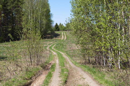 12710687-country-dirt-road-between-trees-on-spring-sunny-day.jpg