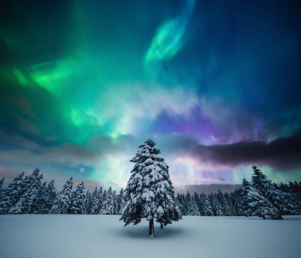 winter-landscape-with-northern-lights.jpg