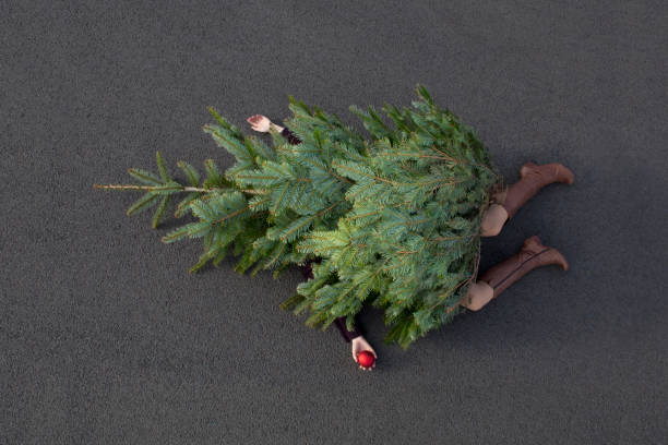 woman-lying-buried-under-christmas-tree.jpg