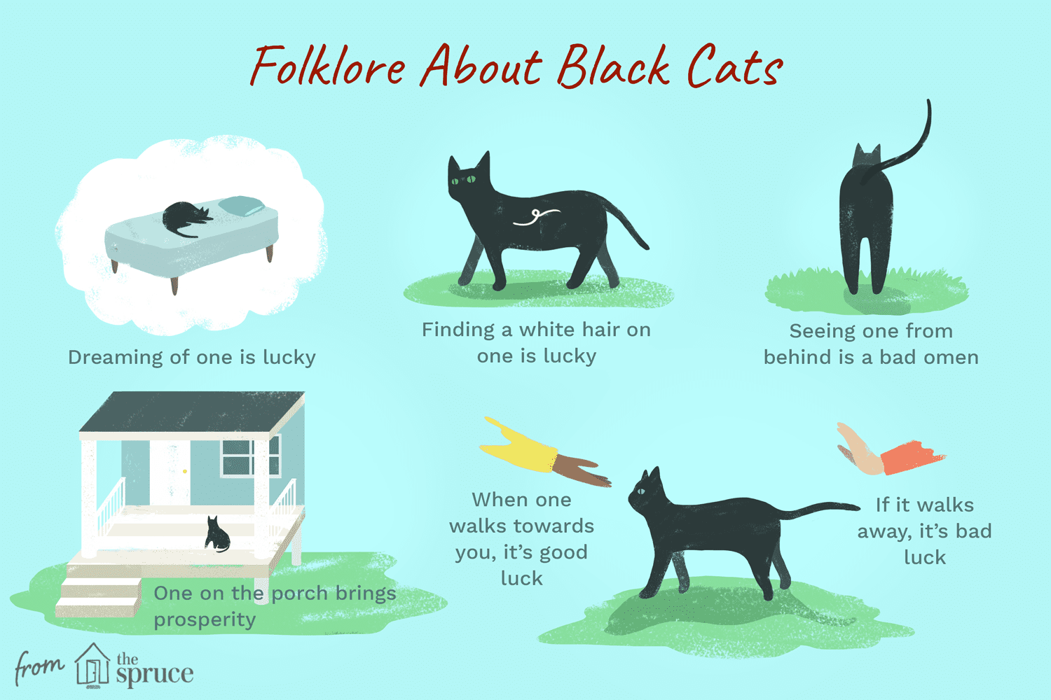 black-cat-folklore-554444-v3-5bb261d146e0fb0026d3d8a7.png