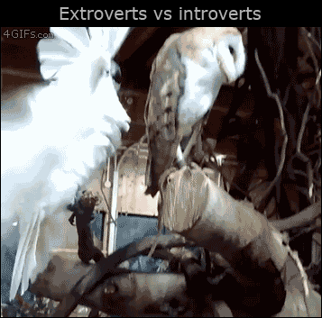 f8142c70bb62a1e93cb7cffb129f73c7.gif