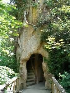 47bc3b8a0f6cdfe58e88fcfd4dacfb83--treehouses-dreams.jpg