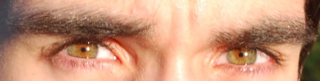 Hazel_green_eyes_close_up.jpg