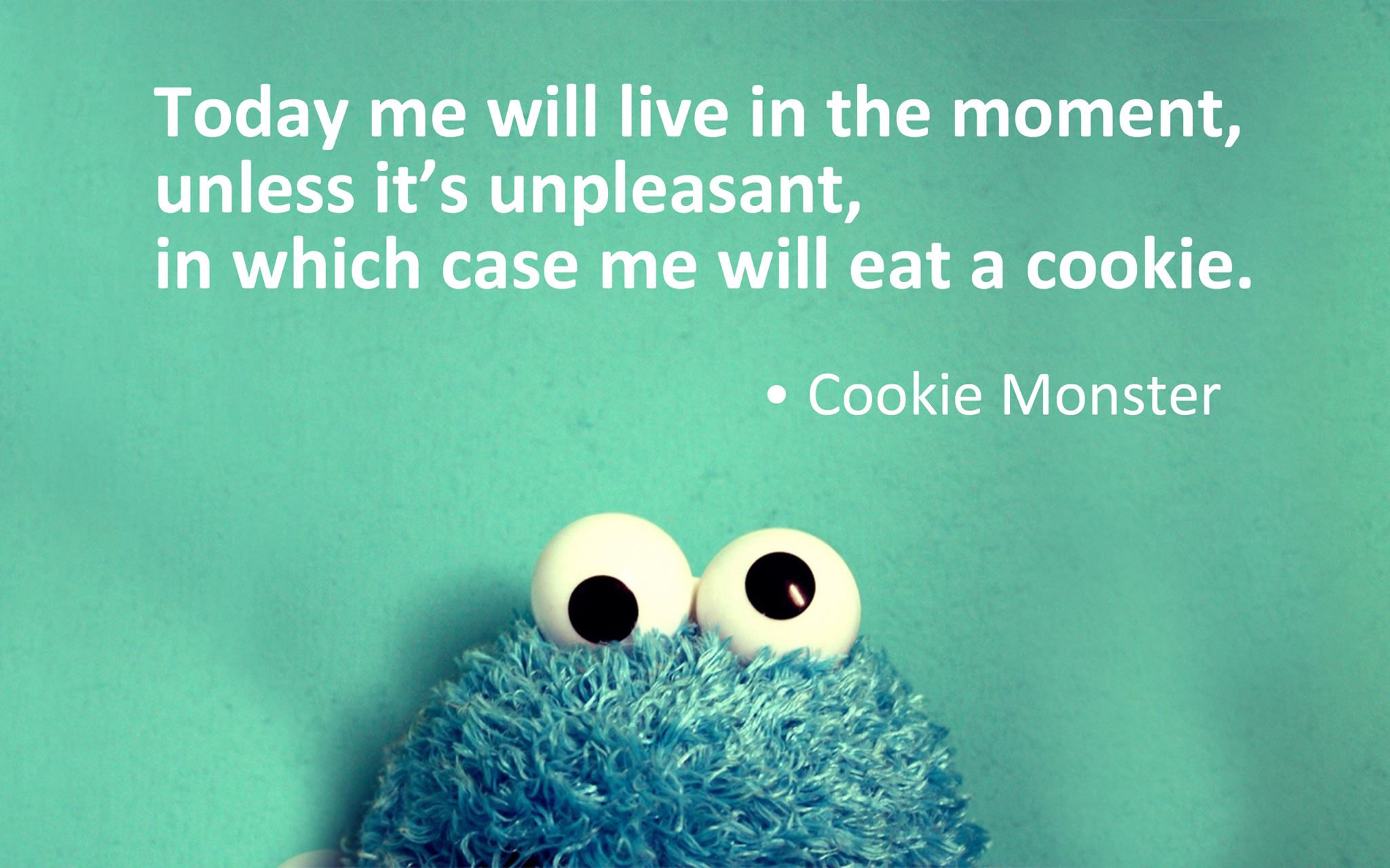 cookie-monster-wisdom.jpg