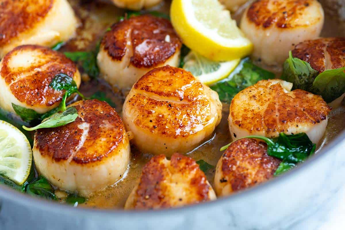 Pan-Seared-Scallops-Recipe-1200.jpg