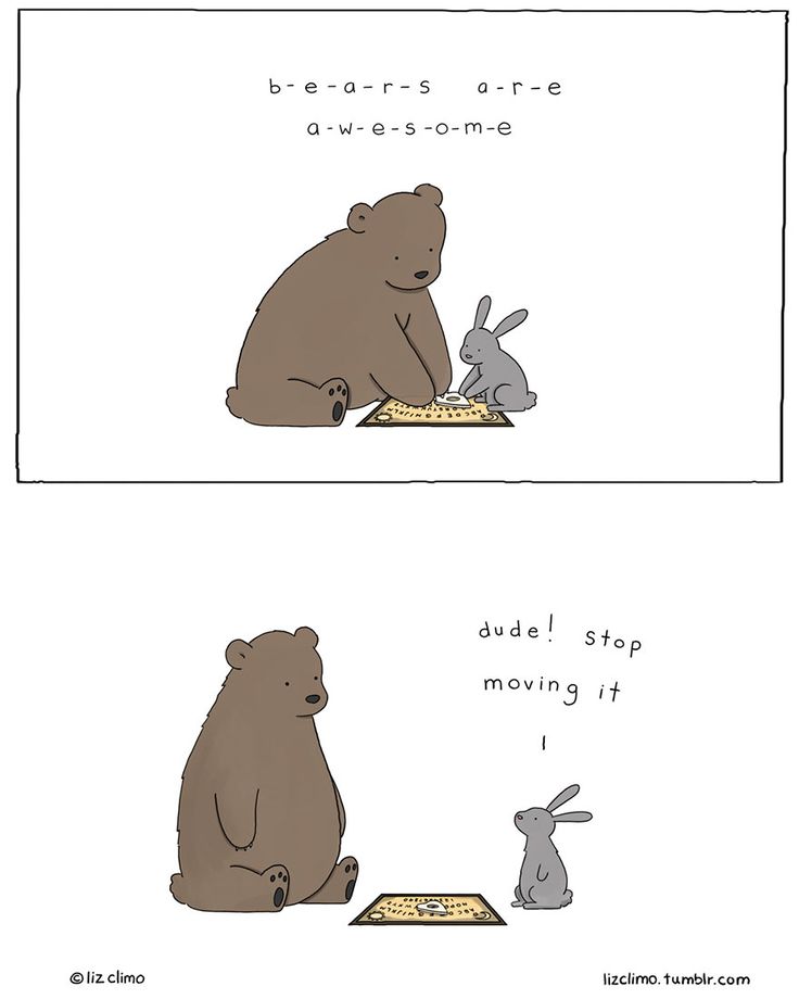 3fa16340a229e048dedcf6a48e7f36f2--funny-bears-mornings.jpg