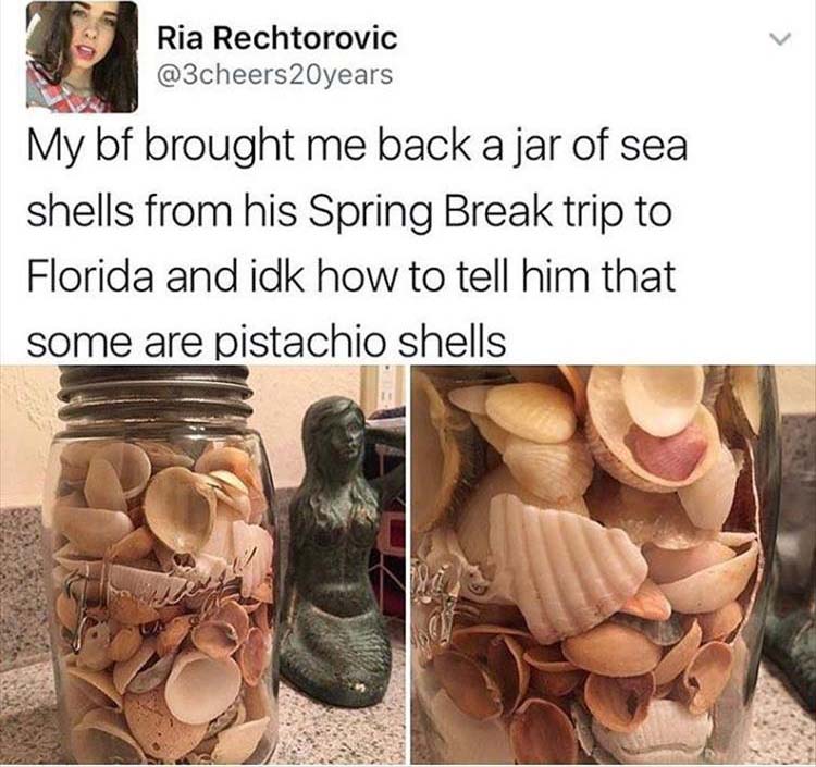 seashells.jpg