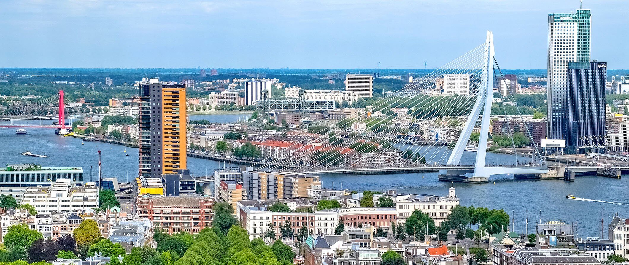 rotterdamguide.jpg