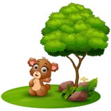 cartoon-bear-waving-hand-under-tree-white-background-illustration-83300246.jpg
