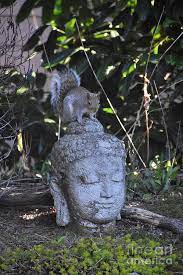 Squirrel Contemplates with Buddha Photograph by Rose De Dan - Pixels