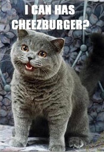 lol_cat_icanhascheezburger.jpg