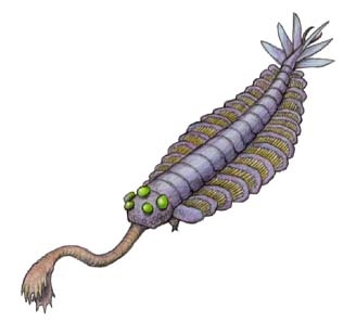 anom-opabinia.jpg