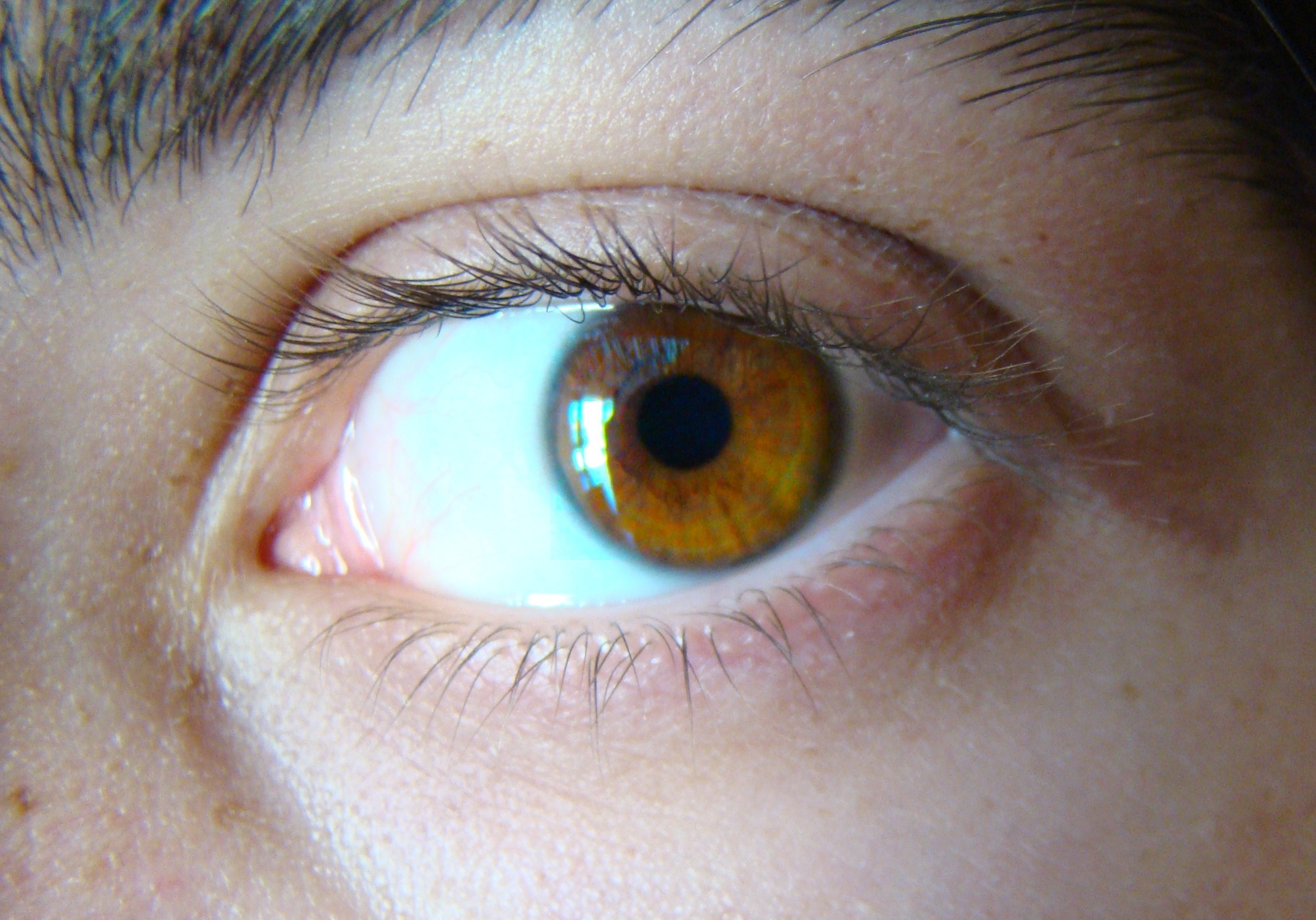 Light_brown_eye.jpg