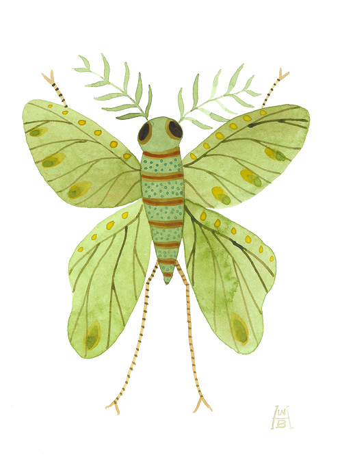 butterflip1.jpg