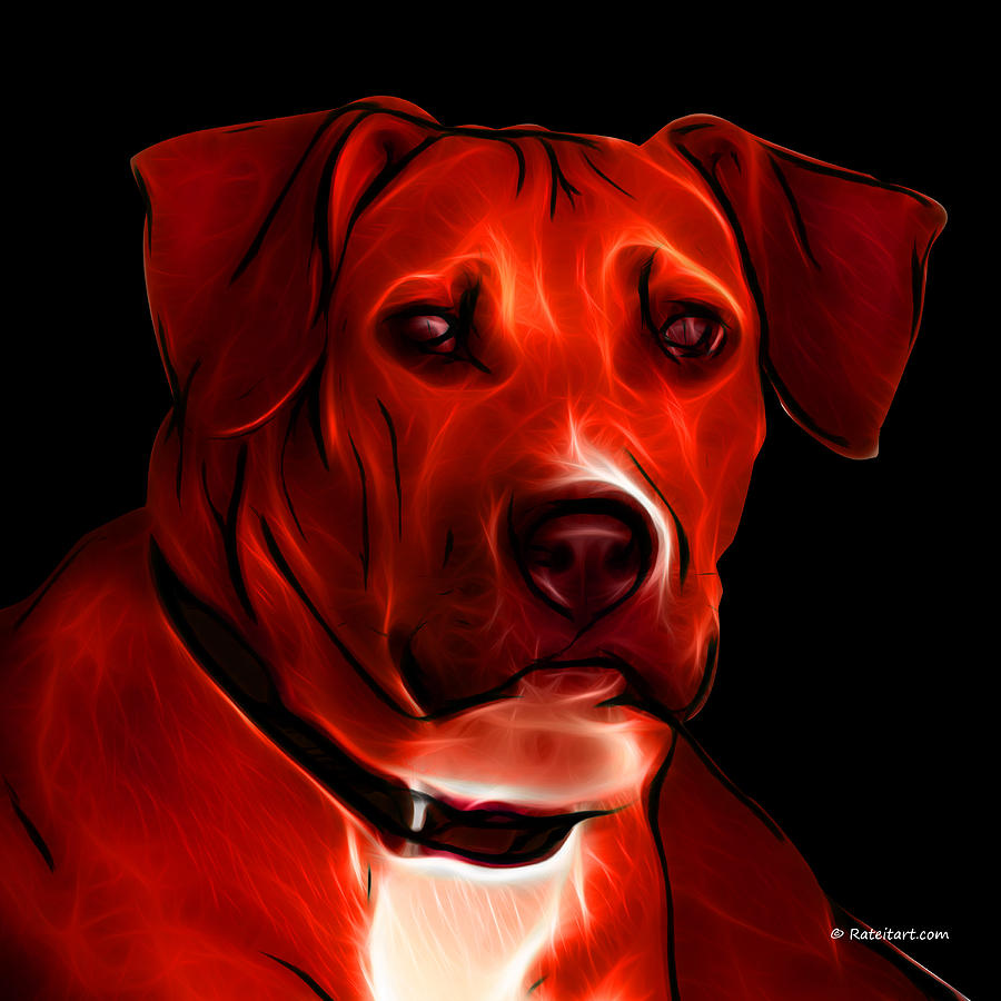 boxer-pitbull-mix-pop-art-red-james-ahn.jpg