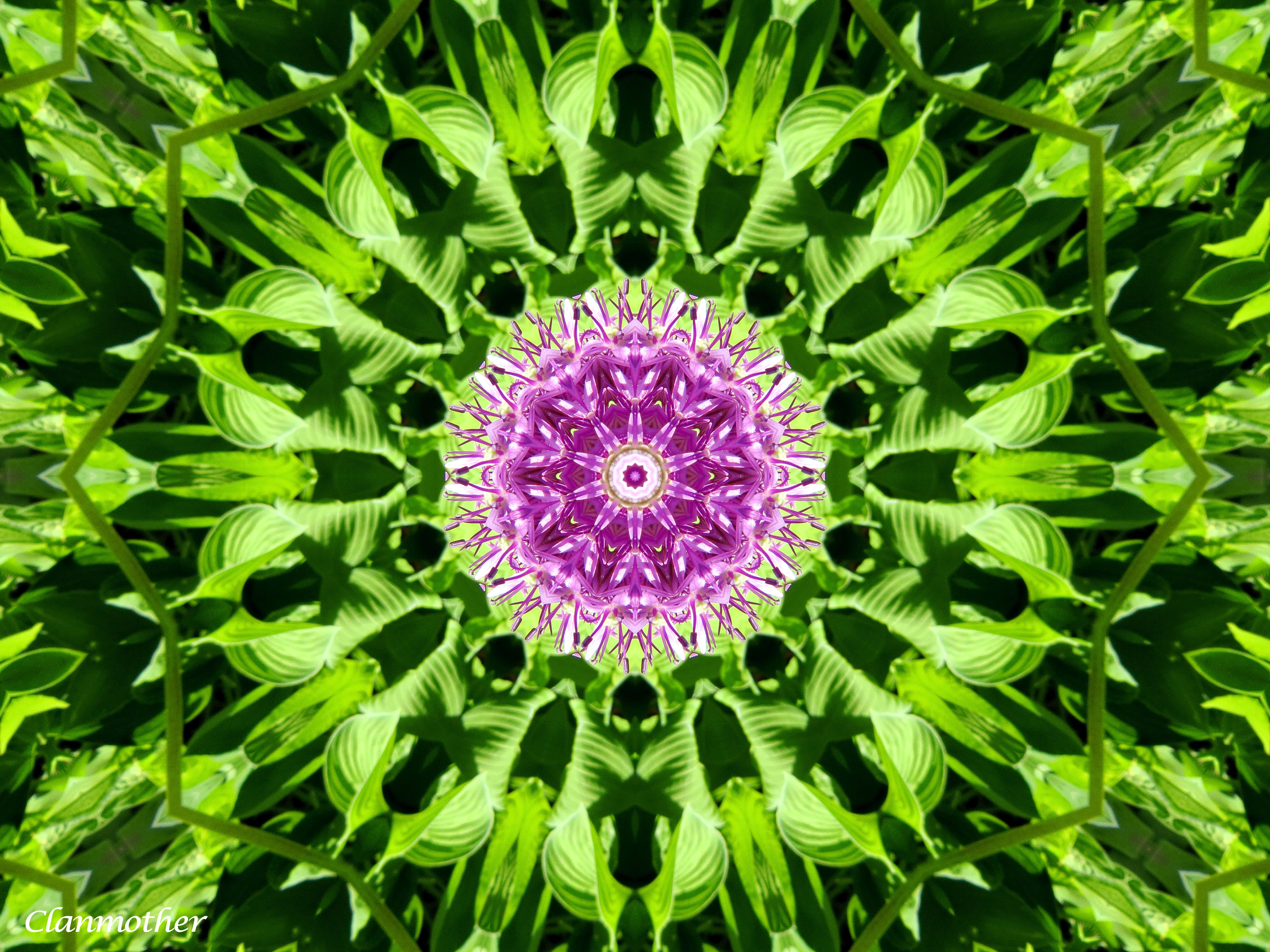 happy-birthday-m-c-escher.jpg