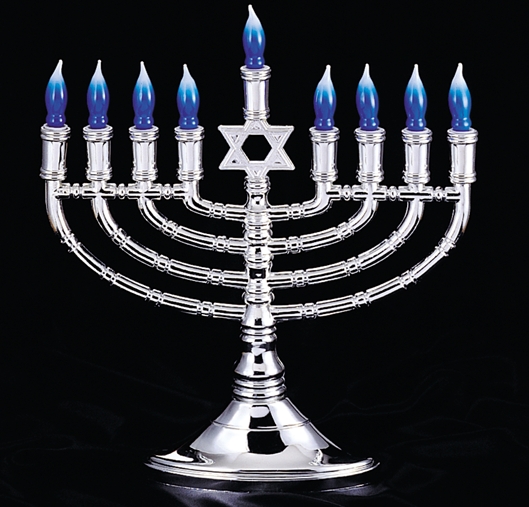 Menorah_RLJR2.jpg