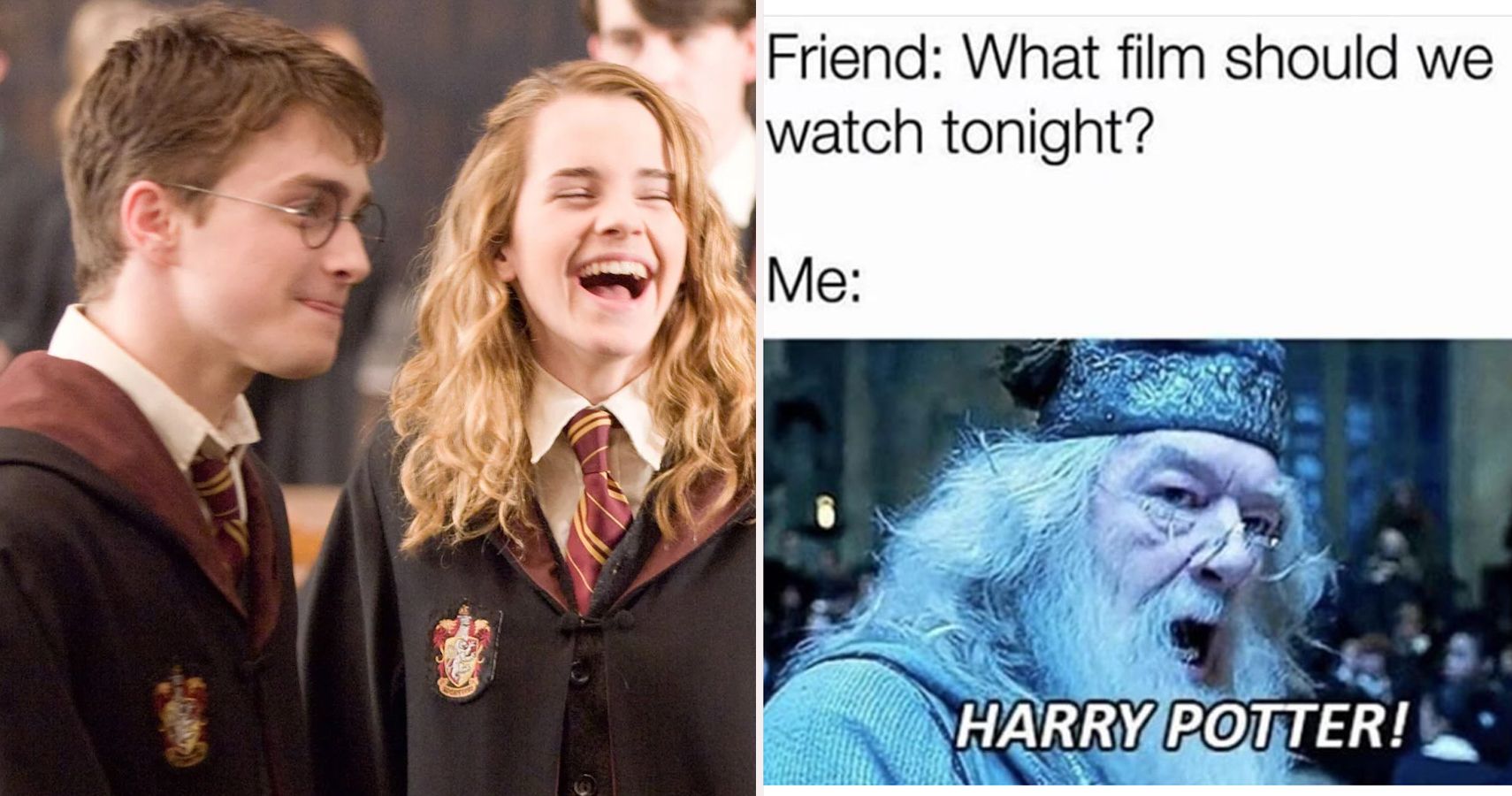 https://static0.srcdn.com/wordpress/wp-content/uploads/2020/03/HarryPotterMemeHeader.jpg